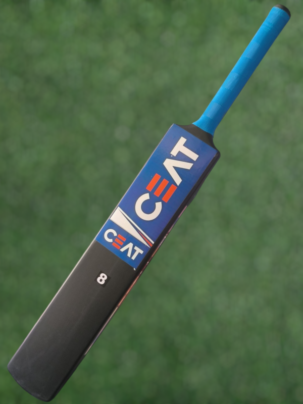 bat