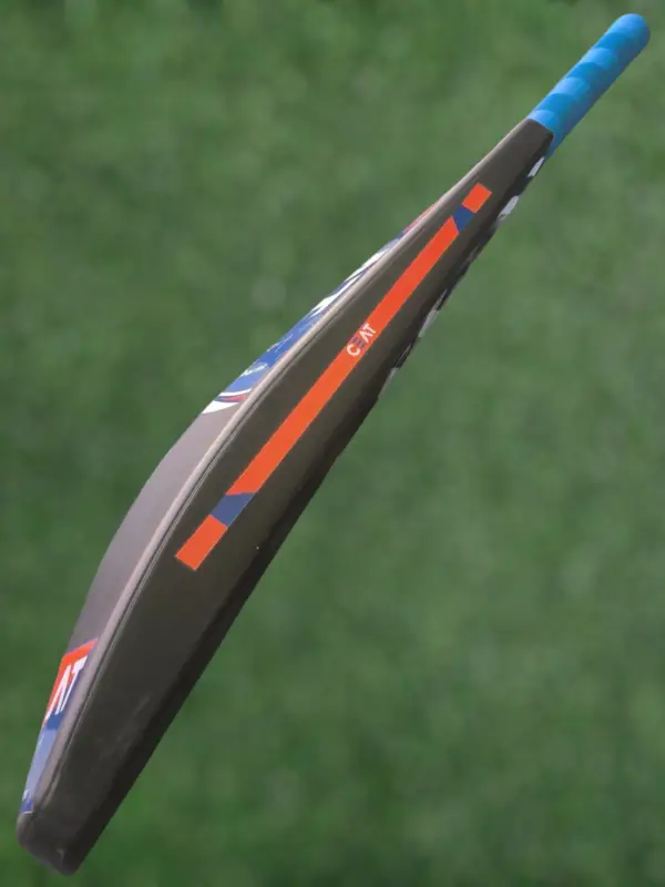 bat