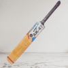 Champion Double Blade Tennis Kashmir Willow Cricket Bats Full Size for Men and Women (900gm to 1000gm)
