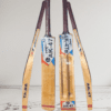 Champion Double Blade Tennis Kashmir Willow Cricket Bats Full Size for Men and Women (900gm to 1000gm)
