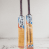 Champion Double Blade Tennis Kashmir Willow Cricket Bats Full Size for Men and Women (900gm to 1000gm)