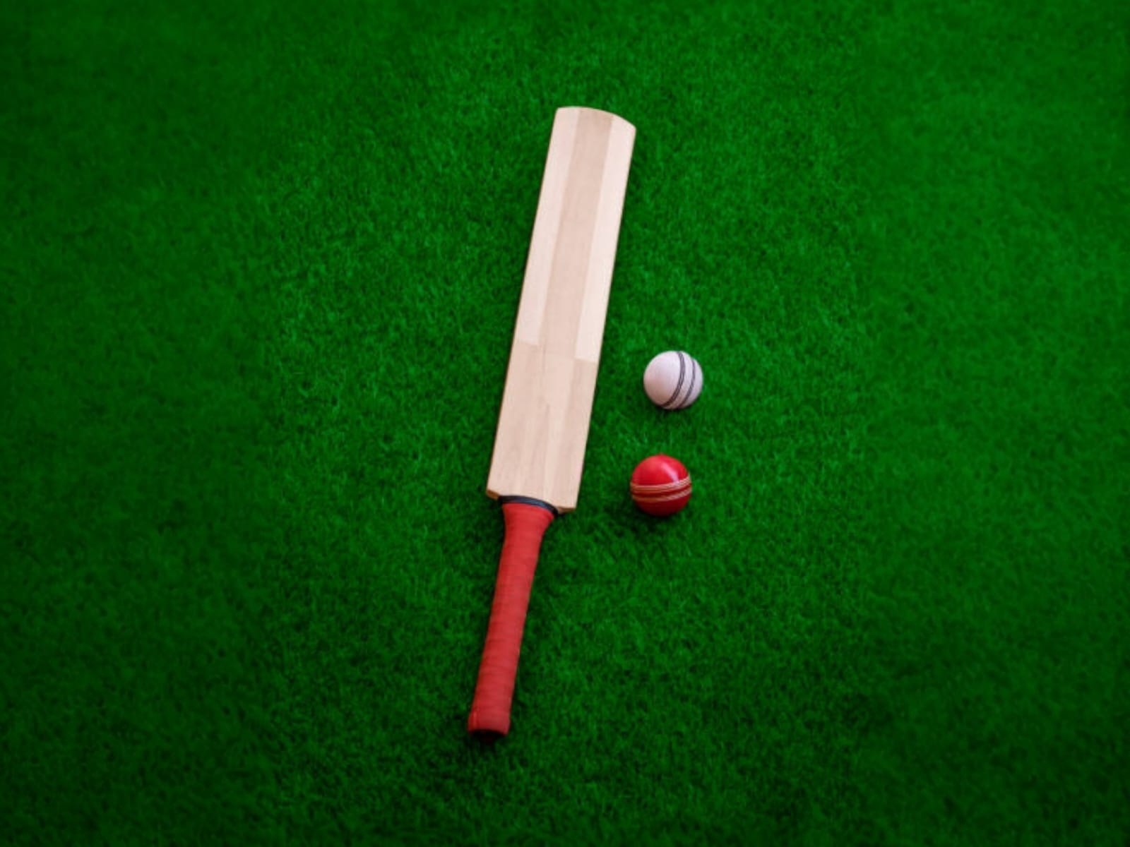 BAT IMAGE