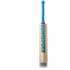 kw_vintage_bolt3 ss kashmir willow bat