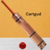Ak47 Tennis Bat With Singapuri Cane Handle
