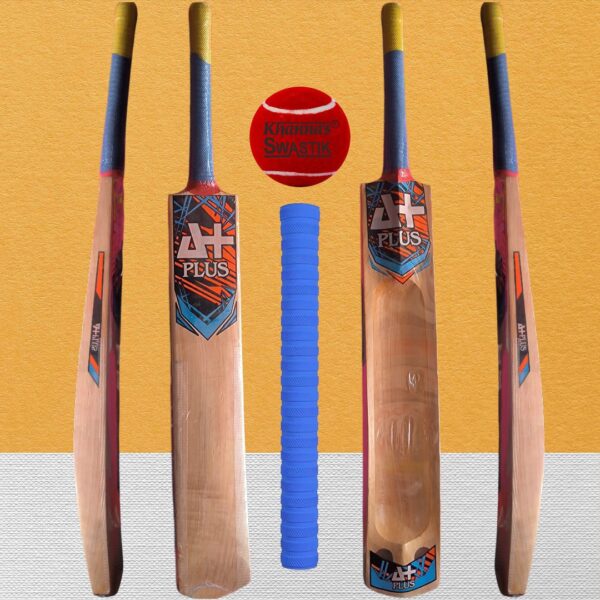 Kashmir willow bat