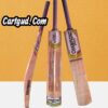 Champion double blade cricket bat
