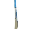 SS Sky Royal Kashmir Willow Cricket Bat Review 2026 – Best Powerful Cricket Bat