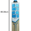 SS Sky Royal Kashmir Willow Cricket Bat Review 2026 – Best Powerful Cricket Bat